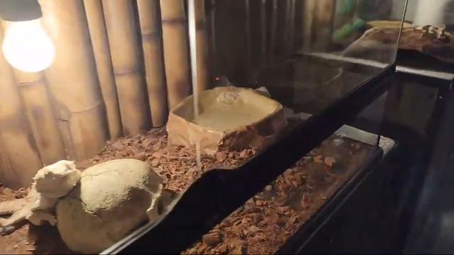 Терариум смотреть онлайн