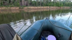 Язь снова появился в реке. Рыбалка в проводку на поплавок с ночёвкой (3 серия)