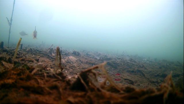 весна2024 водоем