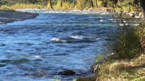 Божественное возрождение юных суставов     Настрои академика Сытина Г.Н.