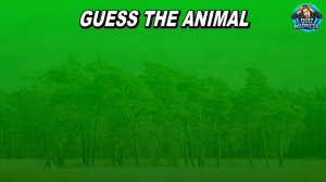 Guess The Animal by Shadow | Guess The Animal Quiz | 30 Animals