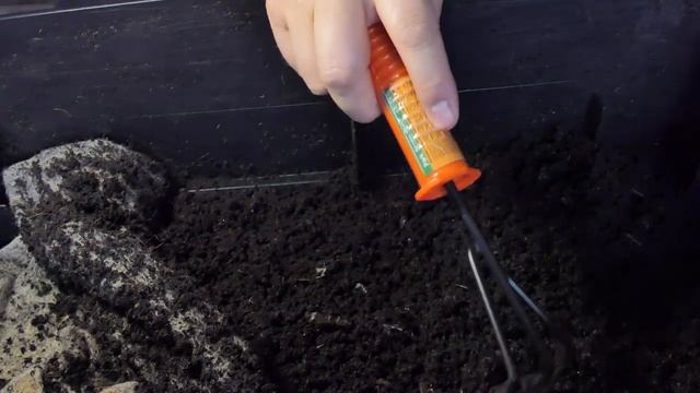 Кормление червя и осмотр вермикомпостера 10 дней микорад в субстрате смотреть онлайн