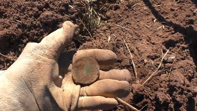 Дмитрий Мусихин "Трактористы дали наводку где копать!" смотреть онлайн