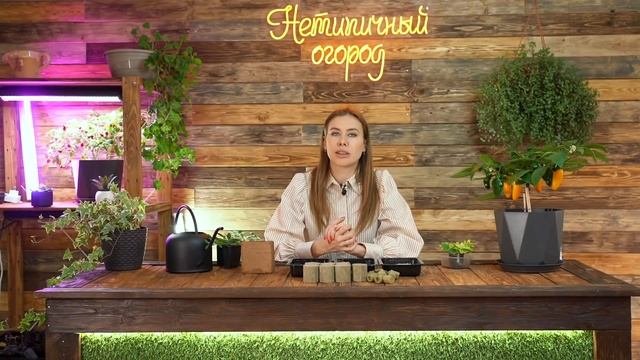 Какой грунт выбрать для рассады | Как сделать самостоятельно | Обработка грунта от болезней