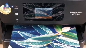 Epson WF-3720 с СНПЧ. Без чипа и сброса