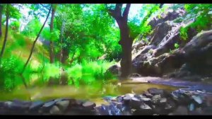 сармишсай навои🛣