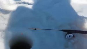 Зимняя рыбалка в Карелии, Куйто, ловля окуня.