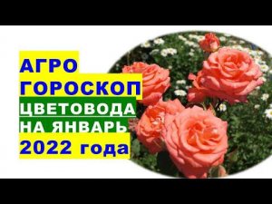 Агрогороскоп цветовода на январь 2022 года