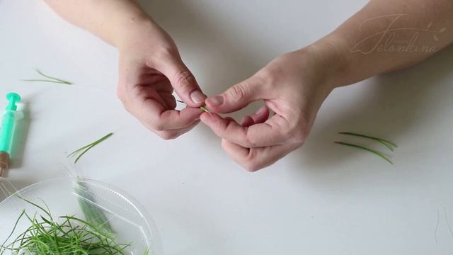 Часть 2. Веточка сосны. Сборка и тонировка иголочек смотреть онлайн
