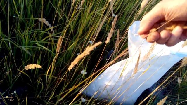 Подушка для пчел (дышит и не впитывает влагу) смотреть онлайн