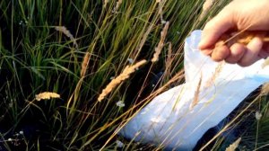 Подушка для пчел (дышит и не впитывает влагу)