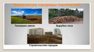 Введение. Мир вокруг нас. Тема 1. Природа Земли и человек