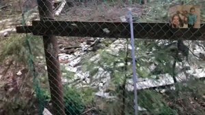 Односкатная кровля. Как сделать ремонт крыши самому. Профнастил на сарай.