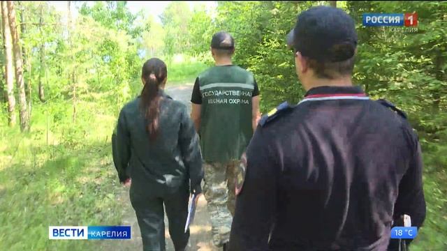 За минувшие сутки на территории лесного фонда Карелии зарегистрировали 5 лесных пожаров смотреть онлайн