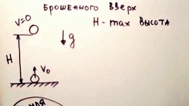 Теория движение тела брошенного вертикально вверх смотреть онлайн