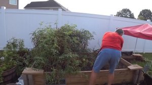 Страшная правда про Ю. Каролину, черви даже в огурцах! Паллетов нет, делаем перестановку/ Влог в СШ