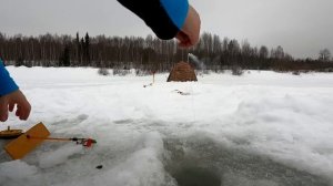 ВОТ это ХАРИУС / Вернулся на старое место и поймал трофей / Зимняя рыбалка