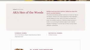 Most Powerful Fungi?! | Top 5 Cancer-Fighting Mushrooms!