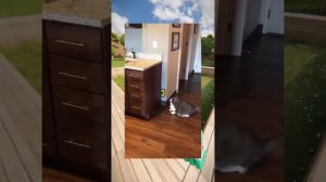 ВИРУСНЫЕ ВИДЕО _ Козлы ?