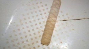 Не выкидывайте старый фильтр для воды !!!