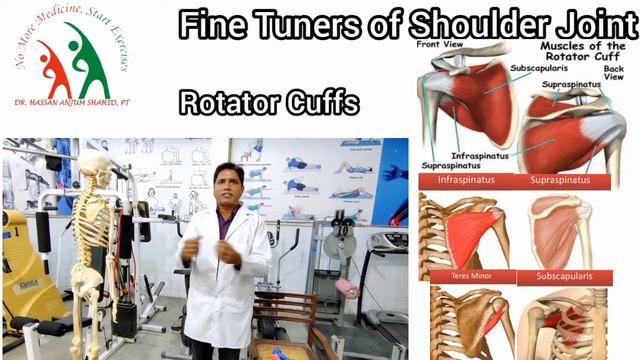 Avoid Shoulder Pain, Rotator Cuffs Strengthen Exercises, Avoid Shoulder Impingement Syndrome смотреть онлайн