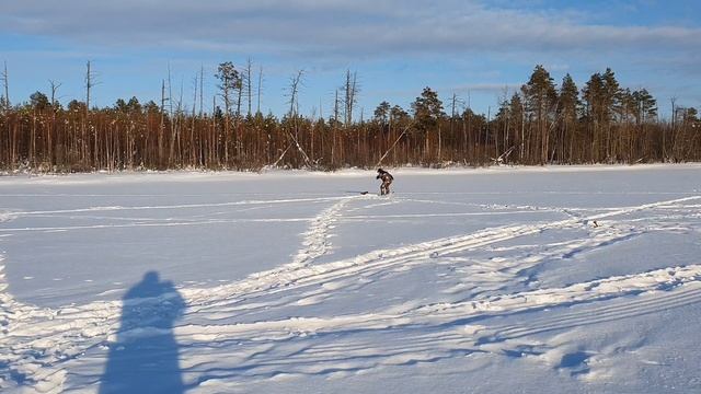 Шука на МОРОЖЕНУЮ Плотву Краткий отчет смотреть онлайн