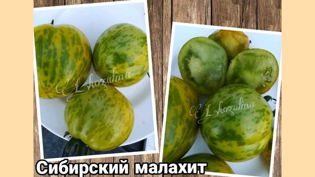 В поиске семян томатов? Это видео для Вас! Редкие экзотические сорта.