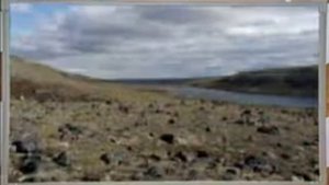 География, выпуск 13. Тундра