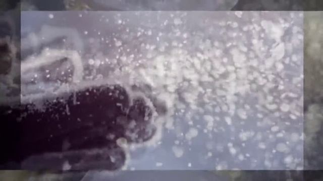 Мелодекламация. Цветаева М.И. Стихотворение "Ошибка"