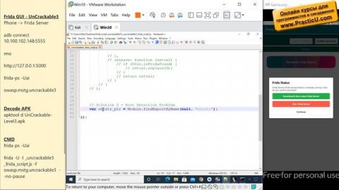 Обяснение о Interceptor Replace в Frida