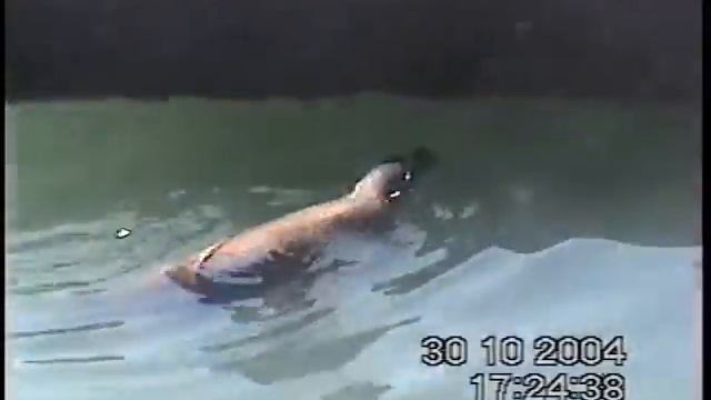 Американские этюды. Сан Франциско смотреть онлайн