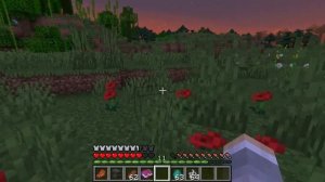 What Does THORNS Enchantment Do in Minecraft?