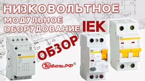 Низковольтное оборудование IEK. Подробный обзор