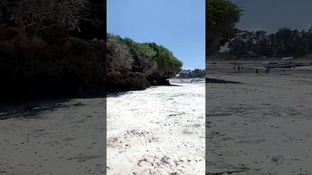 Cool and beautiful beach in Watamu Malindi