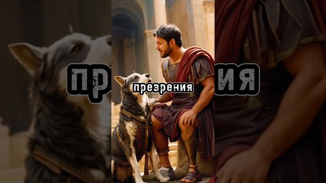 История о лучших братьях. Часть 2/2