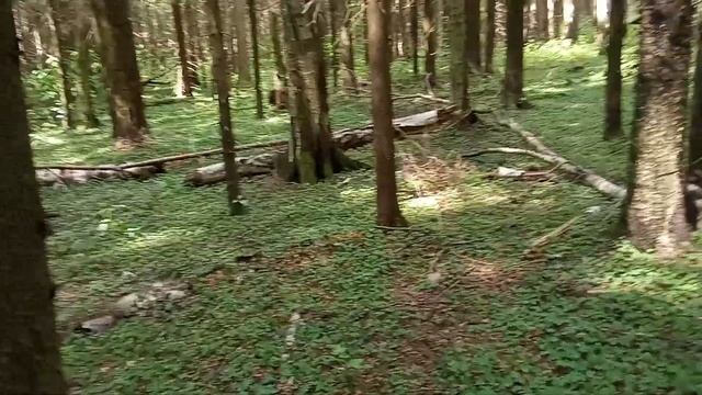 Как утеплиться в походе без дополнительного снаряжения