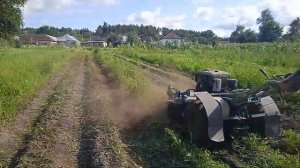 Уборка ботвы картофеля и сорняка мотоблоком!