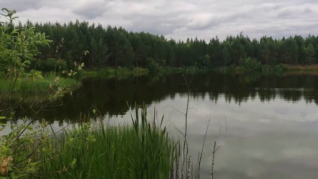 По окрестностям Билимбя (Свердловская область) смотреть онлайн