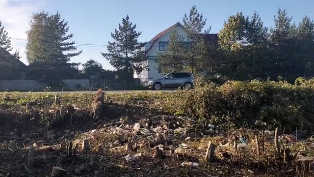 СДЕЛАНО! Объект по расчистке участка. Спил деревьев и кустарника + складировка. смотреть онлайн