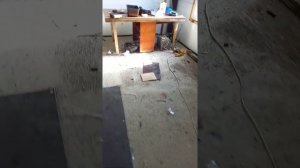Вентиляция в крольчатнике