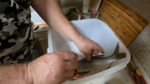 Солю леща сухим посолом