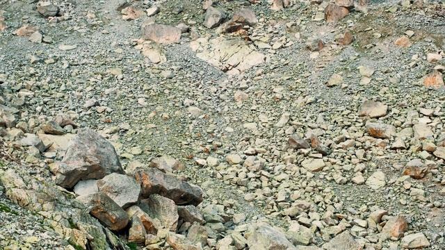 Туры(горные козлы) в естественной среде обитания , Дигория смотреть онлайн