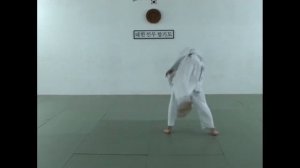 Sin Moo Hapkido Technique Training Program