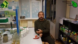 ЭТО ЗНАКОМОЕ РАСТЕНИЕ принесет вам УСПЕХ! АДЖИКА ДЛЯ ОГОРОДА. Острый перец чили в саду и огороде.