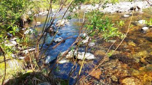 РЕЧКА, ЛЕС В РАЙОНЕ ПОСЕЛКА УПТАР МАГАДАНСКАЯ ОБЛАСТЬ 19.06.2023