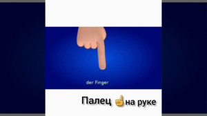 Урок немецкого языка 6 класс " ВНЕШНОСТЬ ЧЕЛОВЕКА "