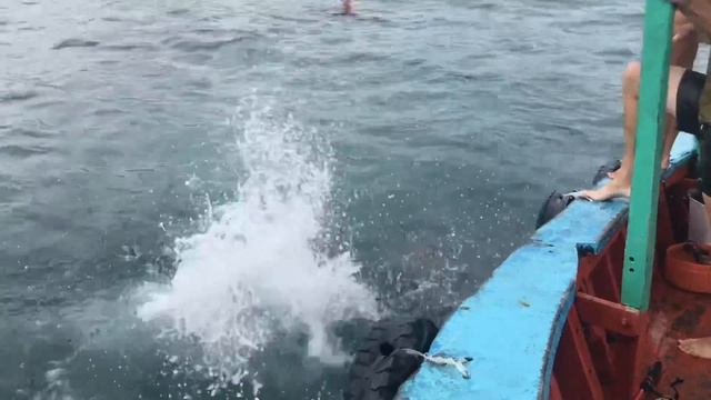 Сборная команда Vietnam 360 по синхронному плаванию Нячанг 2018 смотреть онлайн