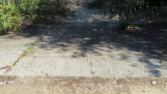 Река Псезуапсе после дождя Лазаревское смотреть онлайн