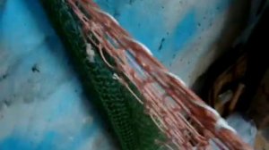 Бредень 50 метров