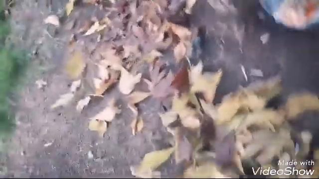 ПОМОГАЙТЕ БЕЗДОМНЫМ!!!